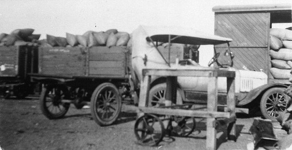 Bagged wheat carting