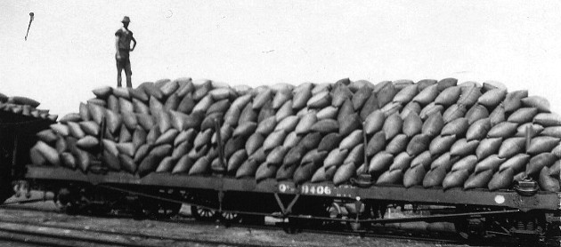 Bagged wheat on rail waggon